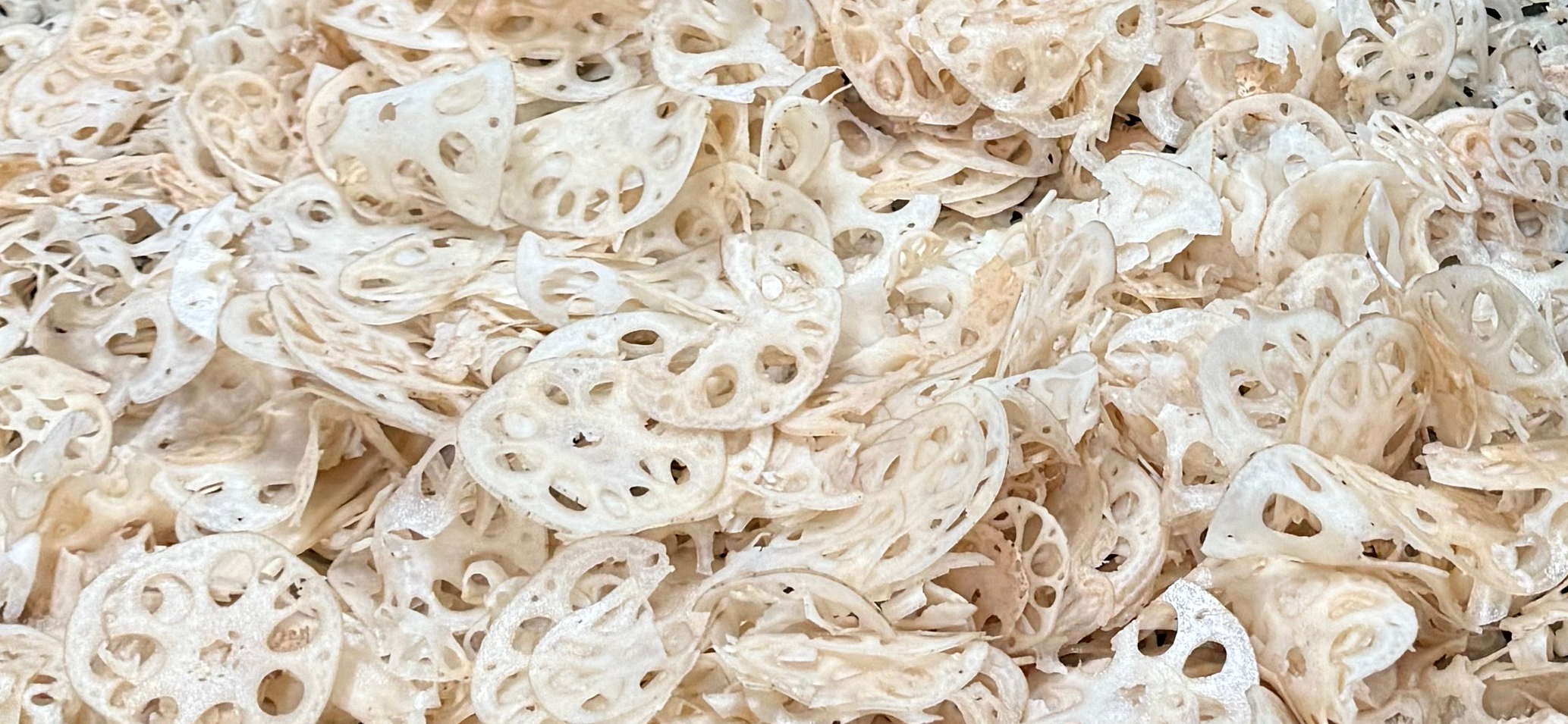里山れんこんから生まれた 自然栽培れんこんパウダー