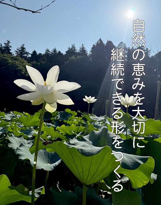 私たち自身がまず味わいれんこんに感謝する