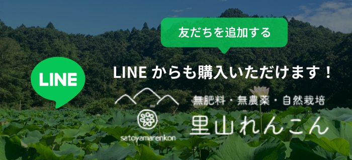 里山れんこん　LINE　友達追加