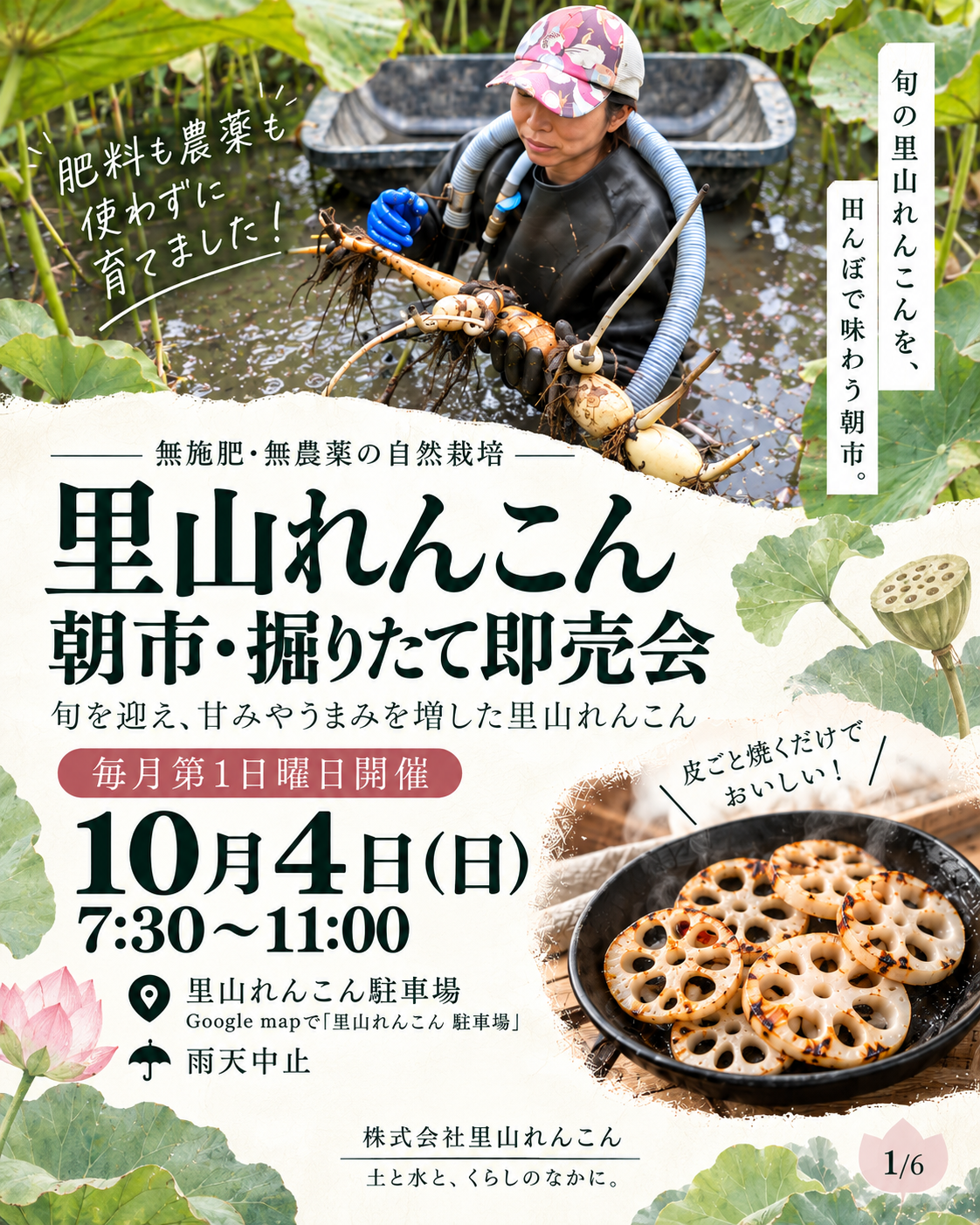 里山れんこんの掘りたて即売会