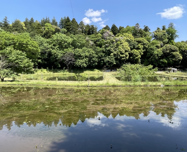 自然栽培とは