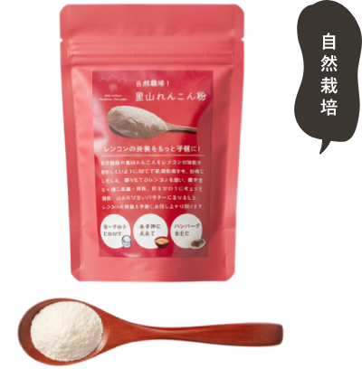 れんこんパウダーの卸販売を承っています