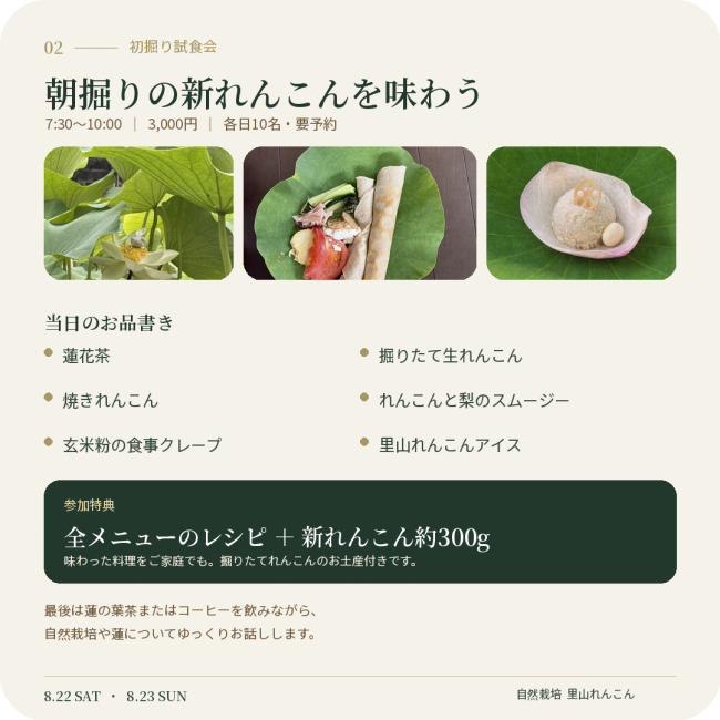 里山れんこん 初掘り試食会